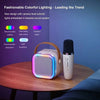 Karaoke Wireless Bluetooth Speaker With Microphone