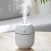 Mini USB Cool Mist Humidifier